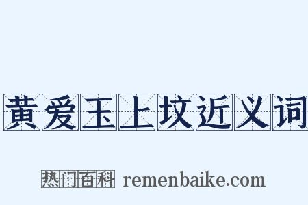黄爱玉上坟近义词是什么意思的图片
